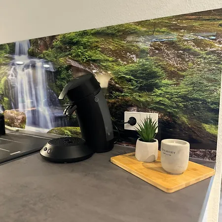 Апартаменты Highlight Maisonette - 94 Qm Und Bis Zu 6 Personen! Schonach im Schwarzwald